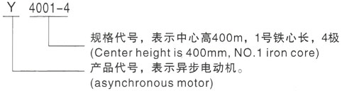 西安泰富西瑪Y高壓三相異步電動機型號說明